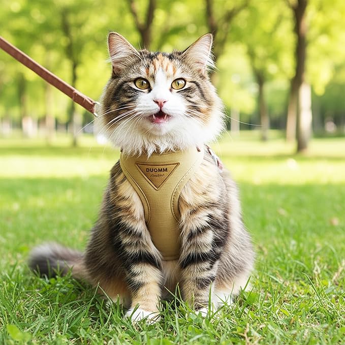 Escape-Proof Cat Harness and Leash Set - Adjustable and Comfortable - Ideal for Walking Cat Outdoors - Fits Small Dogs, Kittens, Medium, and Large Cats (Beige, L)