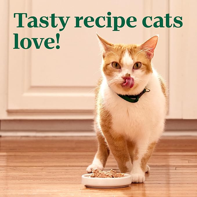 Nutro Wet Cat Food Pate Multipack: Cat Food Wet Turkey Recipe and Chicken Recipe, 2.64 oz. Trays (12 Count, Pack of 2)