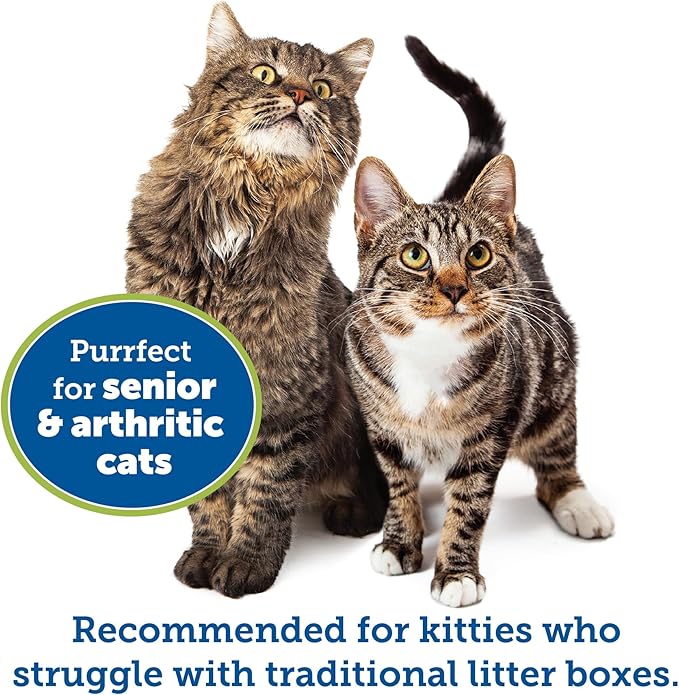 KittyGoHere Senior Cat Litter Box 2 Pack, Small Size, Beach Sand Color, Durable & Pet Safe Kitty Litter Box, Low 3" Entry and Lots More Room for Your Cats Comfort, Made in USA