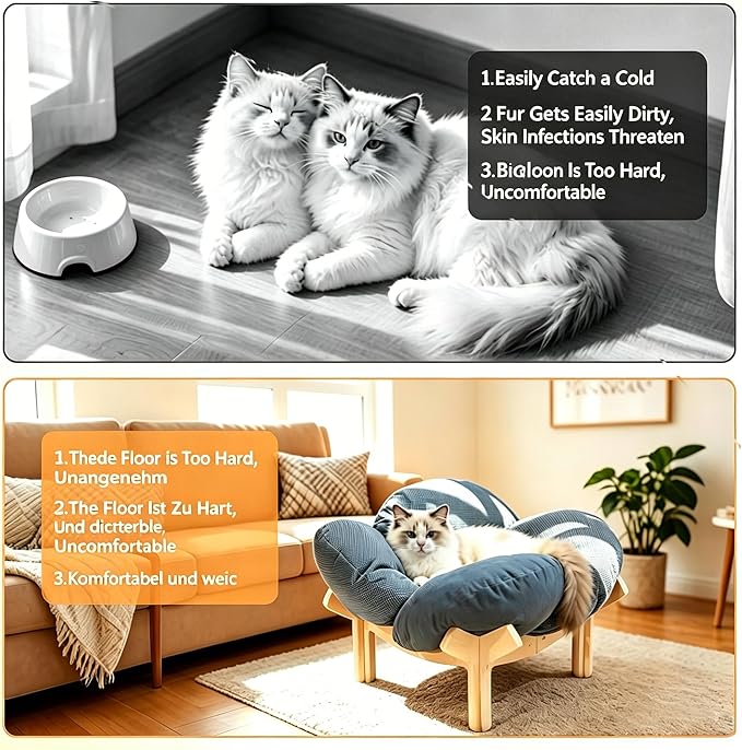 Raised Cat Bed,21" Elevated Cat Bed with Cushion Fluffy Pet Couch Sofa,Stylish Cat Chair with Highly Elastic Soft Cushion for Puppy, Sleeping,Cat Furniture