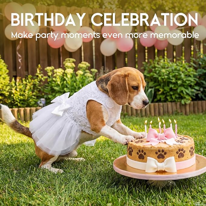 ASENKU Dog Dress Pet Wedding Dress Princess Lace Puppy Birthday Party Outfit Formal Apparel Girl for Large Dogs Cats (2XL, White)