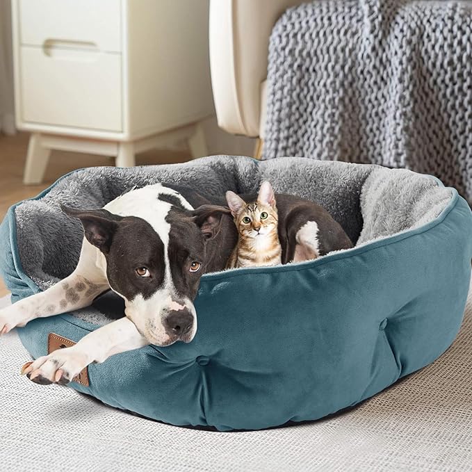 Asvin Medium Dog Bed for Medium Dogs, Cat Beds for Indoor Cats, Pet Bed for Puppy and Kitty, Extra Soft & Machine Washable with Anti-Slip & Water-Resistant Oxford Bottom, Teal, 25 inches