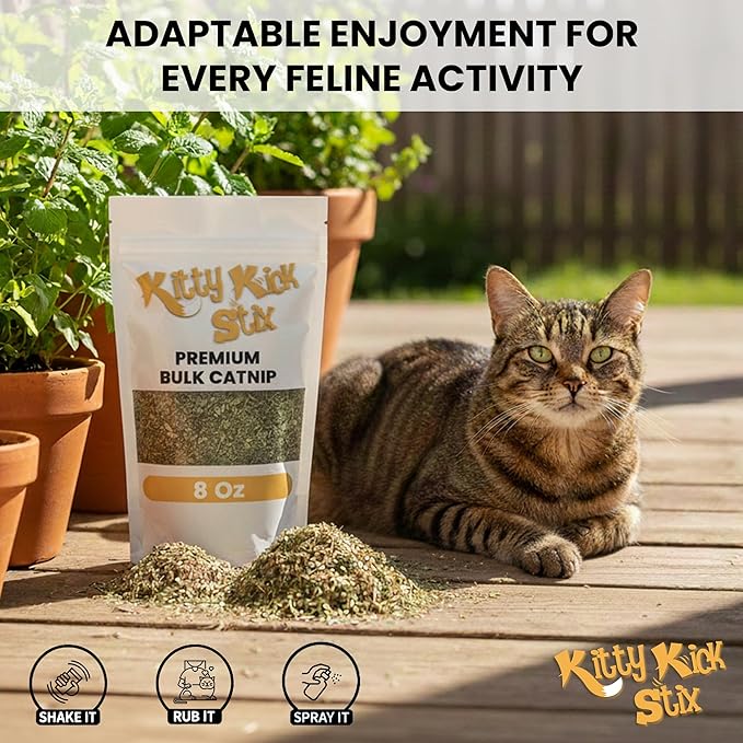 Kitty Kick Stix Premium Bulk Catnip Made in USA, 100% Natural Best Catnip for Cats, Fresh Cat Nip for Toys, Cat Kicker Toy Refills, Cat Toys for Bored Indoor Adult Cats (Large Bag)