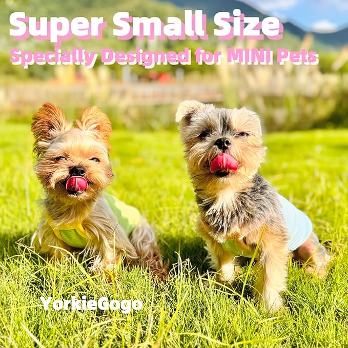 4-Piece Tiny Pet Clothes, Candy Colored Plush Sweater Shirts for Newborn/Teacup Cats & Dogs (e.g., Chihuahuas, Yorkies), Bunnies, and Other Small Animals (Sweet Fruit, XXS (1.5-3 lbs))
