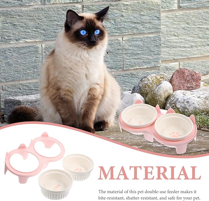 Abaodam Elevated Ceramic Cat Bowl Set with Thick Pink Double Bowls and Sturdy Stand, Anti-Vomit Raised Feeding and Watering Kit for Indoor Cats and Kittens