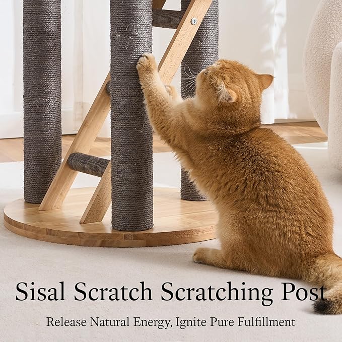 797Audio Wood Modern Cat Tree, 61.5" Tall Cat Tower with Sisal Scratching Posts, Cat Condo, Capsule and Ladder, Solid Wooden Aesthetic Multi-Level Cat Climbing Tree for Large Adult Indoor Cats-Gray