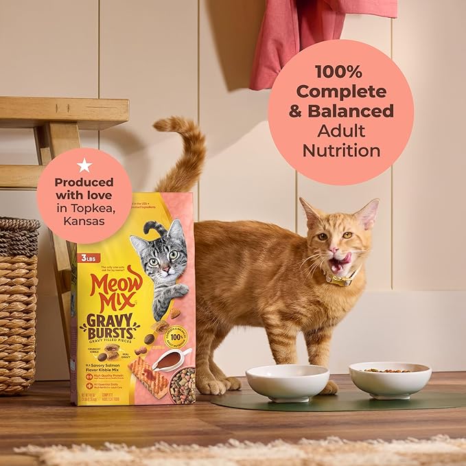 Meow Mix Gravy Bursts, Savory Salmon Flavor Kibble Mix, Gravy Filled Dry Cat Food, 3 lb. Bag