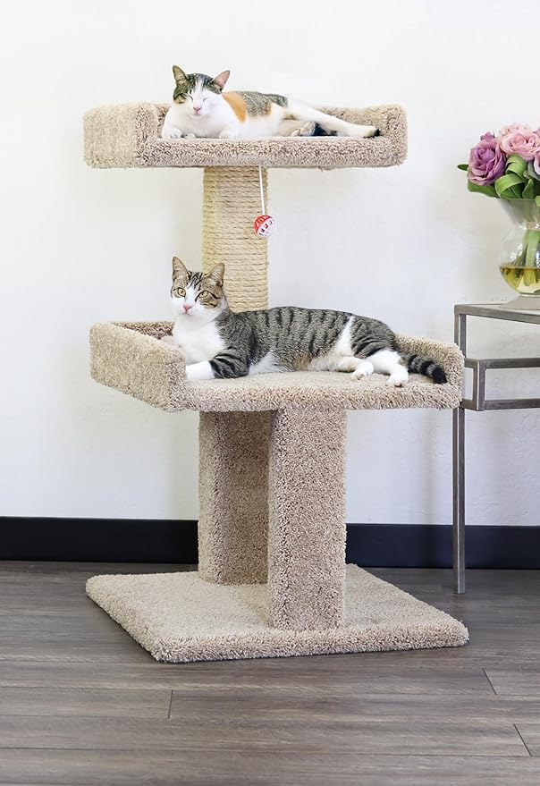 New Cat Condos Spacious Cat Perch for Large Cats