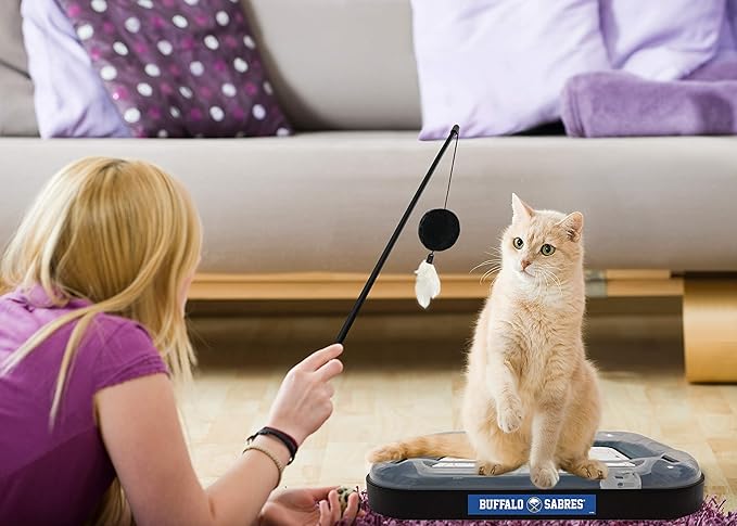 Pets First 5-in-1 NHL Buffalo Sabres Hockey Field Cat Scratcher Toy with Interactive Cat Ball Bell