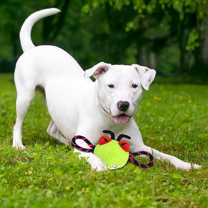 Pets First NHL Columbus Blue Jackets Mascot Rope Toy, Team Color, One Size (CBJ-3242)