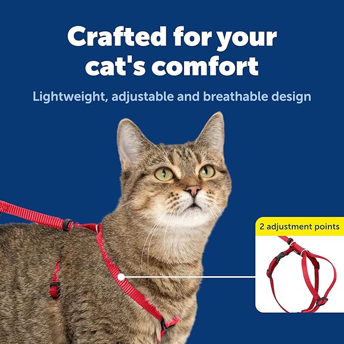 PetSafe Come with Me Kitty Harness and Bungee Leash Adjustable, Lightweight Harness for Cats Small, Red