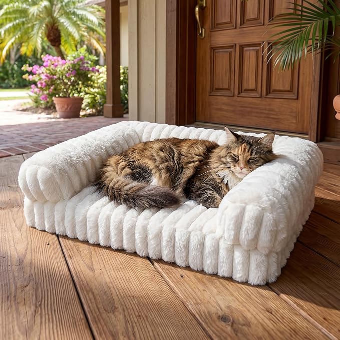 Cat Bed, Cat Beds for Indoor Cats, Winter Self Warming Pet Sofa Bed, Washable Medium Pet Bed for Puppy and Small to Large Kitten with Anti-Slip Bottom, Fits Up to 65lbs Pets