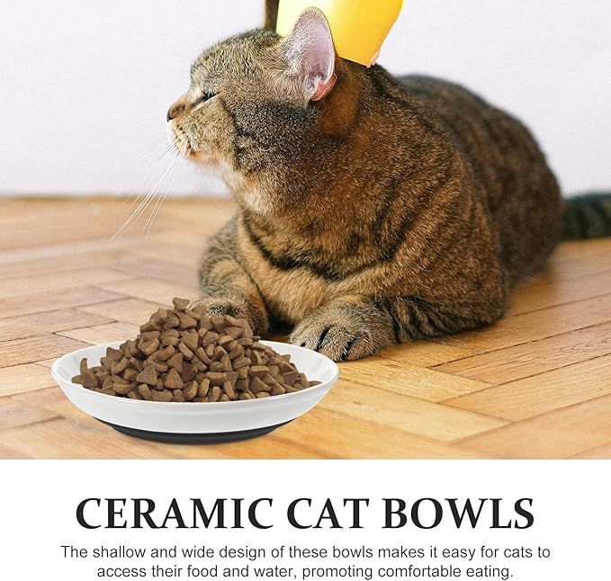 3pcs Shallow Small Cat Food Bowls with Nonslip Black Silicone Bottom Round Ceramic Cat Feeder Dishes for Safe Indoor Feeding and Watering