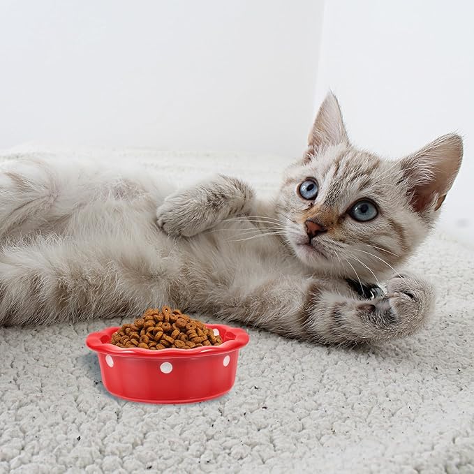 Christmas Ceramic Pet Bowl for Cats and Dogs, Red Floor Feeding Dish, Sturdy Ceramic Dog Food Bowl, Suitable for Indoor Pet Feeding and Watering