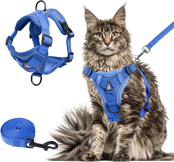 Wanheart Summer cat Chest Harness and Leash, Anti-Escape Adjustable Soft mesh cat Leash and Chest Harness Set for All Types of Cats cat Vests (Royal Blue, XL:16.5-22.04lb)