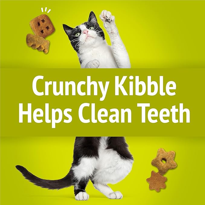 Purina Friskies Party Mix Morning Munch Crunch Egg, Bacon and Cheese Flavors Cat Treats - 20 oz Canister