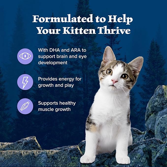 Blue Buffalo Wilderness Natural Kitten Dry Cat Food, with DHA and ARA to Support Brain and Eye Development, High-Protein and Grain-Free Diet, Chicken, 2-lb Bag