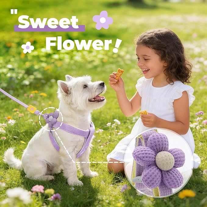 PETCARE Cute Flower Dog Harness and Bowtie Leash Set Easy Walk Puppy Dog Halter Harness for Small Dogs Girl Step in Dogs Harnesses with Buckle (Purple, Chest Adjustable 9"-14", Rope Width 0.39")