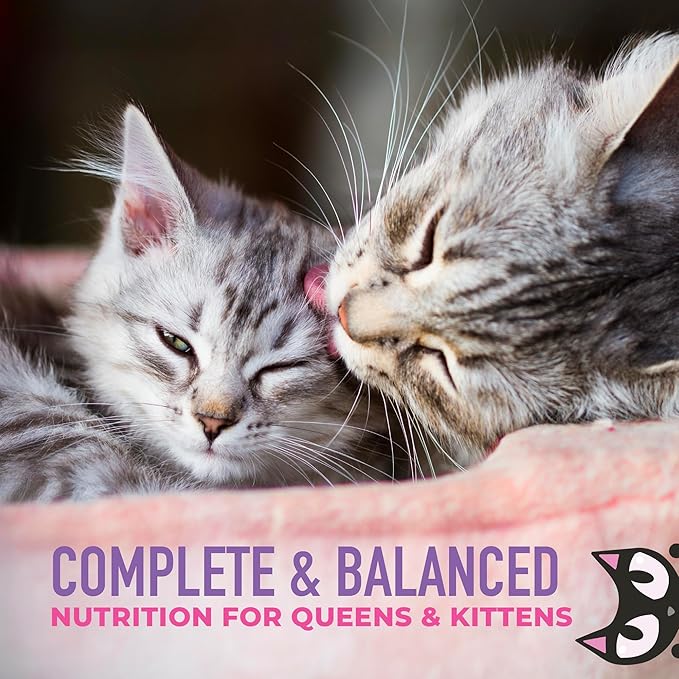 Tiki Cat Baby Weaning Puree Wet Cat Food, Chicken, 6 oz. Spout Pouch (6 Count)