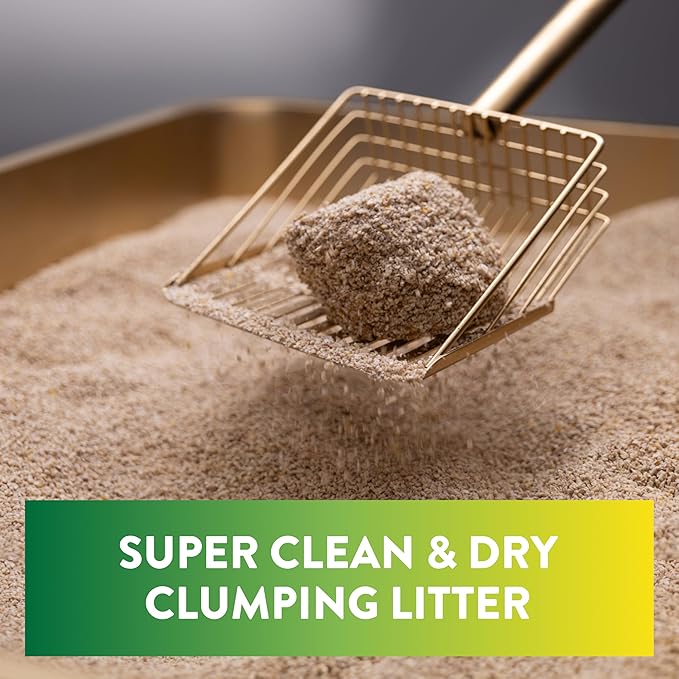 ARM & Hammer Plant Power Lightweight Plant-Based Clumping Cat Litter for Multi-Cat Homes, 14-Day Odor Control, Highly Absorbent Natural Grain Formula, Unscented 15 Lbs