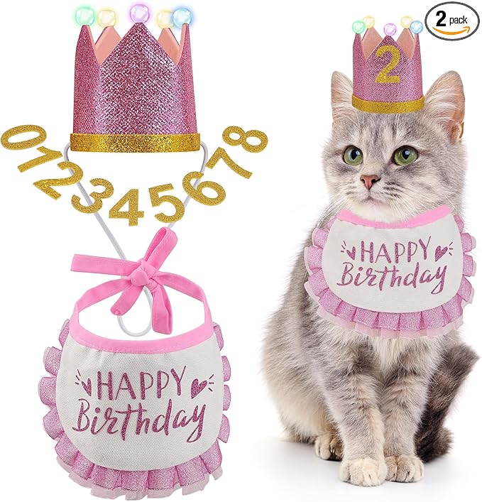 Cat Birthday Hat with Bandana, Light Up Party Outfit, Pink