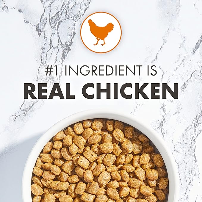 Nutro Wholesome Essentials Kitten Natural Dry Cat Food for Early Development Farm-Raised Chicken & Brown Rice Recipe, 3 lb. Bag (Pack of 2)
