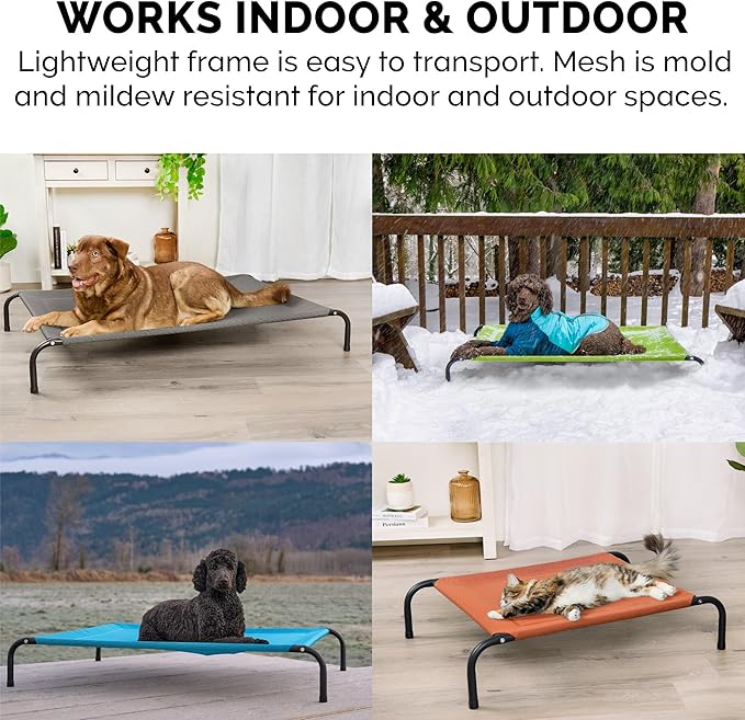 FurHaven Elevated Pet Cots - Cooling & Breathable Nylon Mesh Hammock for Small Dogs & Cats/Easy-to-Assemble/Durable and Reinforced/Perfect for Rest & Relaxation Outdoors - Graphite Gray, Small
