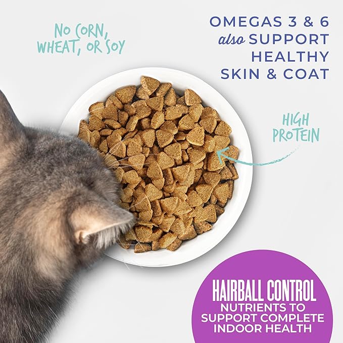 Tiki Cat Born Carnivore Dry Cat Food, Hairball Control, Chicken, 6 lbs. Bag