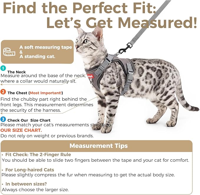 Cat Harness and Leash Kitten Harness Escape Proof Lightweight Breathable Mesh Cat Leash for Walking Travel, Grey, Small