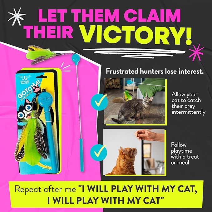 Jackson Galaxy Gotcha! Cat Wand Toy - Retractable Cat Toy for Engaging Play - Telescoping Wand with Natural Feathers for Indoor Cats - Foundational Tool for Cat Wellness and Interactive Bonding Play