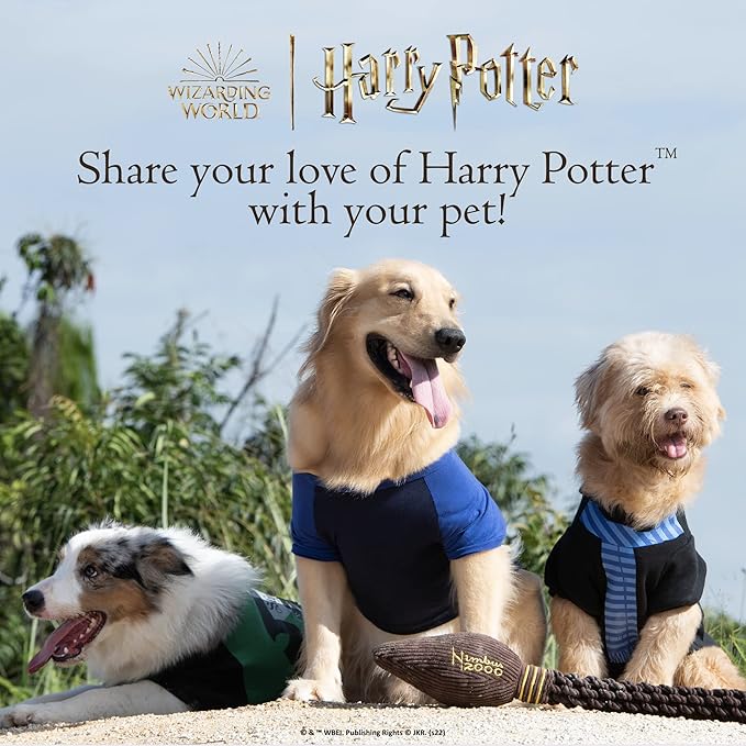 Harry Potter: 4PK Hogwarts Pride Pet Tennis Balls - 2.5"