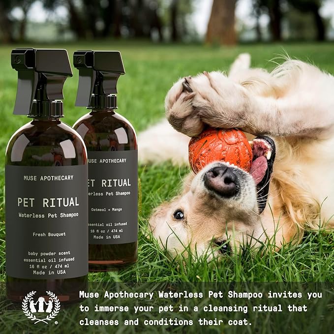 Muse Apothecary Pet Ritual Aromatic Waterless Dog Shampoo - No Rinse Dry Shampoo for Dogs & Cats - Essential Oils Infused, 16oz, Oatmeal + Mango