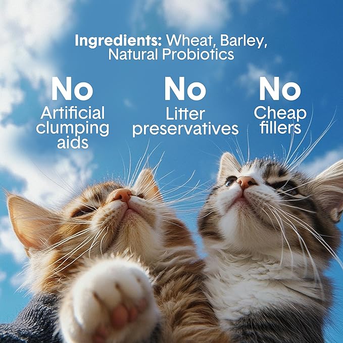 Boxie® Extra Strength Cat Litter, Lightweight 35-Day Odor Control, Clumping, 16.5lb