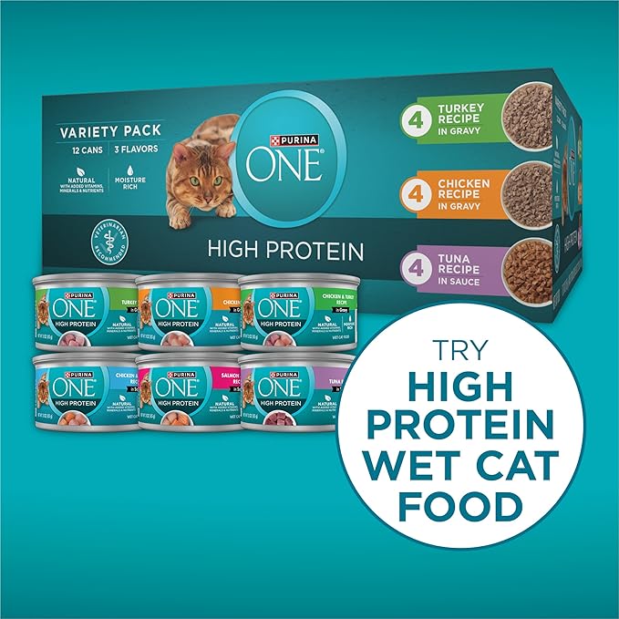 Purina ONE Plus High Protein Cat Food Dry Salmon and Ocean Whitefish Cat Skin and Coat Health Formula - 3.5 lb. Bag