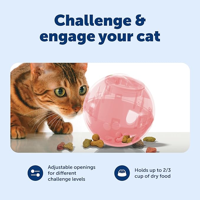 PetSafe Slimcat Feeder Ball - Interactive Game for Your Cat - Fill with Food and Treats - Pink