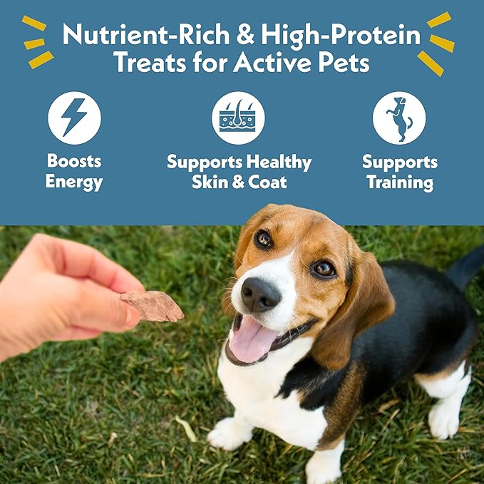 Fresh Is Best Beef Heart Fillets Freeze Dried Dog Treats – Raw Freeze Dried Dog Food for Cats & Canines – Training Treat in Resealable Zipper Bag – Grass-fed & Finished Beef Made in the USA