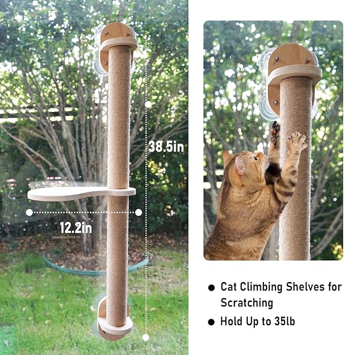 38.5in Scratching Post with Window Shelf Set - for Climbing, Sunbathing, Napping & Overlooking