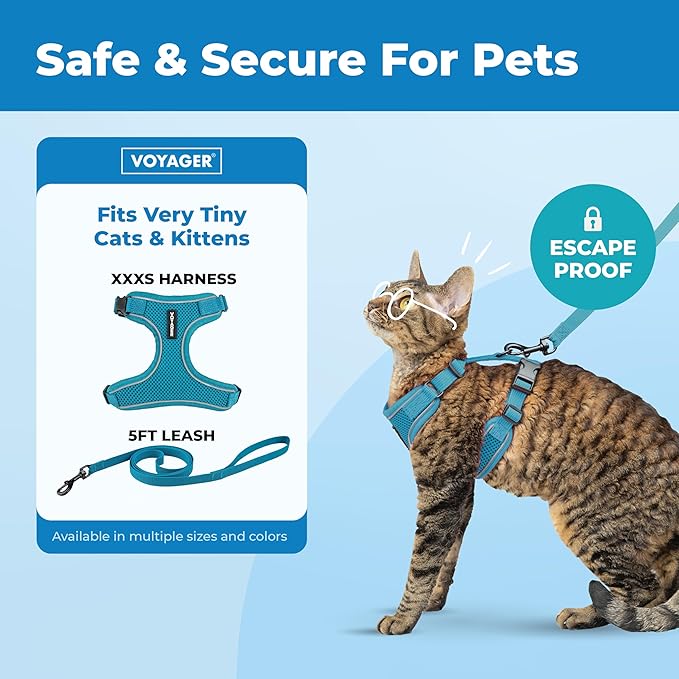 Voyager Escape-Proof Step-in Lock Cat Harness & 5ft Neoprene-Handle Leash Set All-Weather Mesh with Reflective Stitching for Small to Large Cats by Best Pet Supplies, Turquoise (327), XXXS