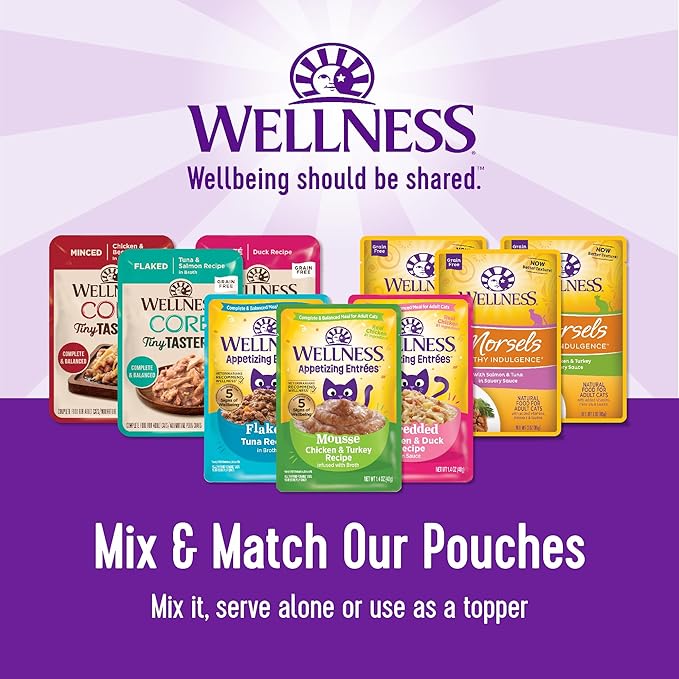 Wellness CORE Tiny Tasters Pate Adult Wet Cat Food,Natural,Protein-Rich,Grain Free,1.75 Ounce Pouch (Chicken & Beef),(Pack of 24)