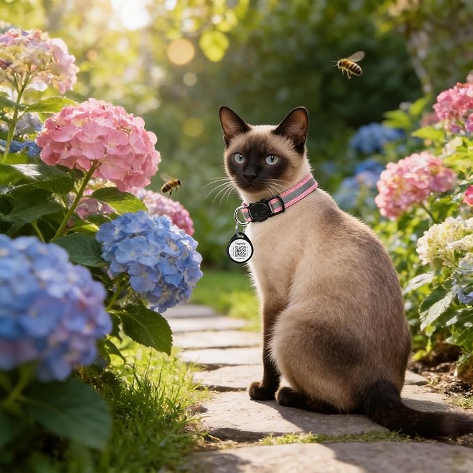 Reflective Cat Collar Breakaway with QR Code Tag for Girl Boy cat Name tag Kitten Collars with Bell Cat ID Tag Personalized Real-time scan alerts. (Pink)