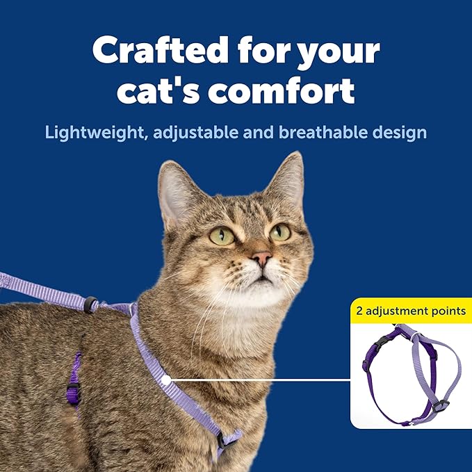 PetSafe Come with Me Kitty Harness and Bungee Leash Adjustable, Lightweight Harness for Cats Small, Lilac