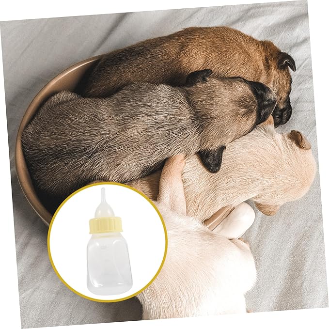Toyvian Sturdy Kitten Milk Bottle Set Reusable Nursing Bottle for Small Cats and Puppies PET Feeding and Watering Supplies Easy to Clean 1 Set