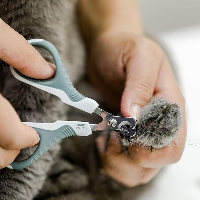 Mr. Pen- Cat Nail Clipper, Stainless Steel, Professional Sharp Cat Claw Trimmer for Small and Medium Cats, Pet Nail Clipper with Sturdy Non Slip Handle
