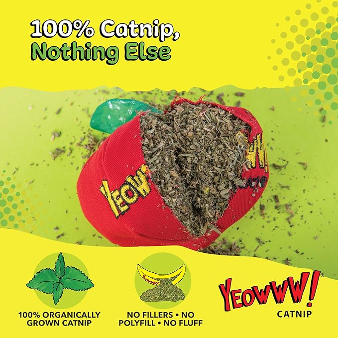 Yeowww! Catnip Toy, Apple