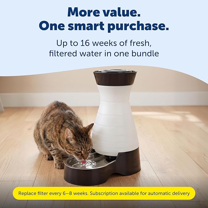 PetSafe Healthy Pet Food & Water Stations - Cat & Dog Food Storage Container - Filter Included with Waterer - Keeps Food & Water Fresh - Suitable for Small, Medium, & Large Dogs - Stainless Steel Bowl