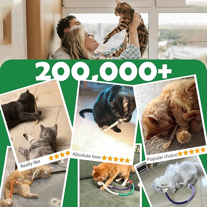 4Pcs Cat Chew Toys | 2 Silvervine Sticks & 2 Cat Cotton Rope Toys with Natural Catnip Stuffed Bags | Safe Tooth Cleaning Cats Indoor Toys | Silver vine Sticks & Catnip Rope Kitten Tooth Cleaning Toys