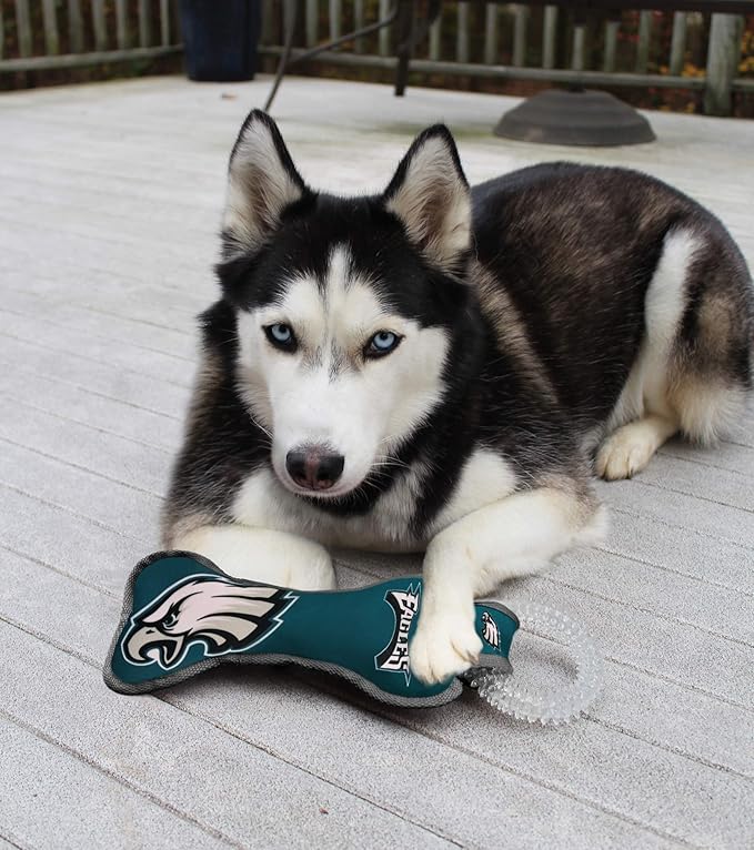 Pets First NFL Philadelphia Eagles Dental Dog TUG Toy with Squeaker. Tough PET Toy for Healthy Fun, Teething & Cleaning Pet's Teeth & Gum., Team Color, one Size (PHL-3310)