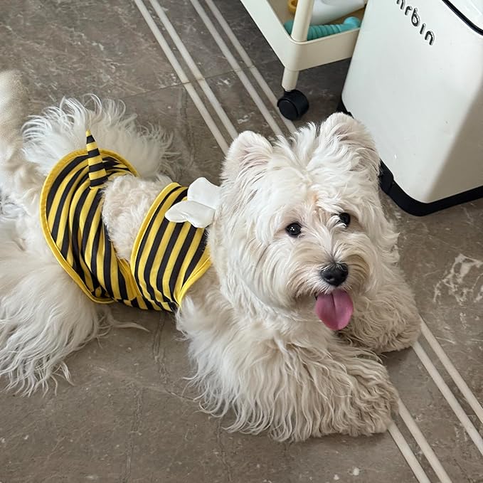 Funny Dog Swimwear Bikini Summer Dog Clothes Beach Swimsuit Puppy Bathing Suit Puppy Vest Cooling Pet Shirt for Small Dogs, Cat Apparel (X-Small, Yellow Bee)