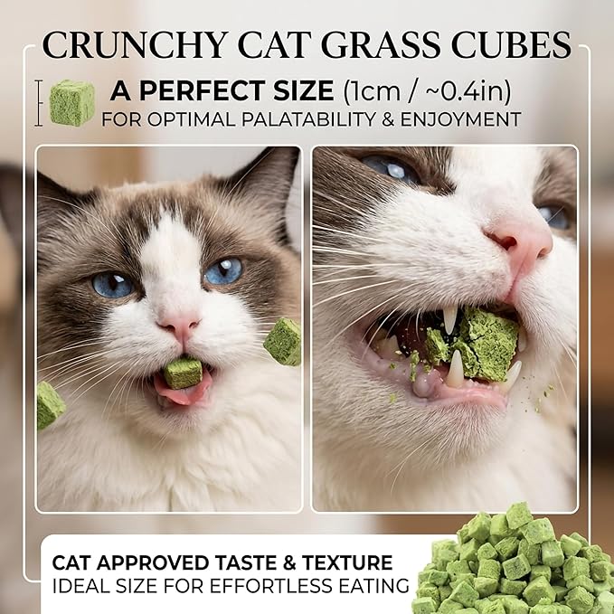 60g/2.12oz Cat Toy Cats Grass Treats, Fish Oil Kitten Grass Catnip Stick for Hairball Removal Teeth Cleaning Cats Edible Freeze Dried Kitty Lickable Chew Dental Snack for Indoor Kitty Food