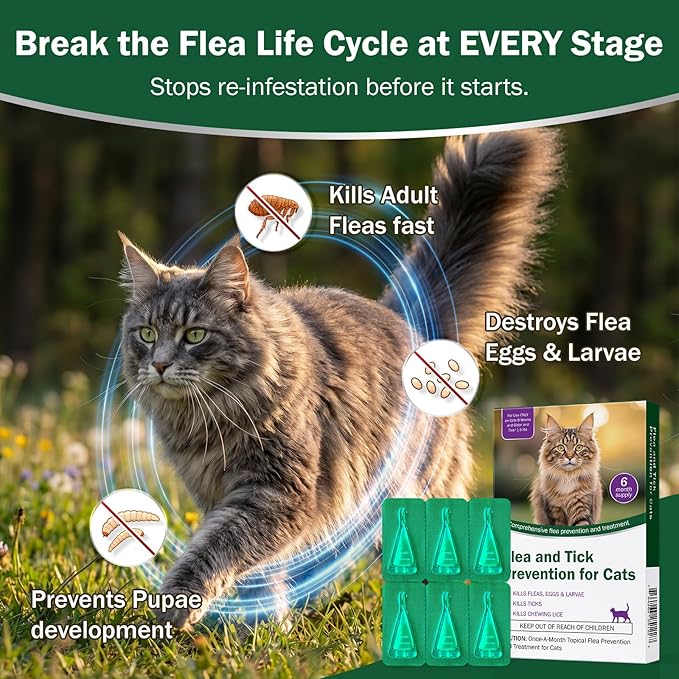 Flea and Tick Prevention for Cats & Kittens - Topical Waterproof Cat Flea and Tick Treatment – Fast-Acting & Long - Control for Cats Over 1.5 lbs and 8 Weeks or Older Supplement– 6-Dose Supply